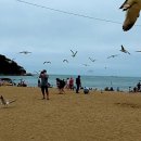 연주공인중개사사무소 이미지