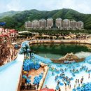 라팡드포레 이미지