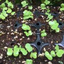 경민농장 이미지