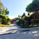 동강할미꽃펜션 이미지