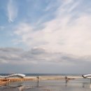 조씨상회 이미지