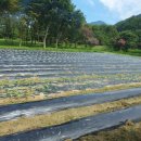 청강유치원 이미지