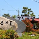 대룡마을 티스토리