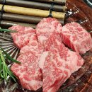 칵투스 PC CAFE 이미지