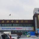 금산수삼센타 이미지