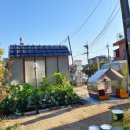 대신주말농장 정보화마을 이미지