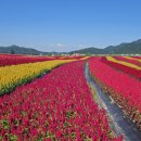 목동로3길 이미지