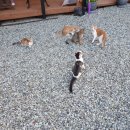 복주경매장 이미지