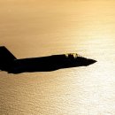 프로(311) 이미지