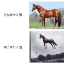 따숩 이미지