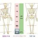 👣 발이 바르지 않으면 바르게 걸을 수도 없다 이미지