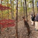 고양시일산동구보건소 이미지