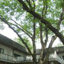 옥수주유소 이미지