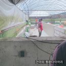 봄.봄미장 이미지