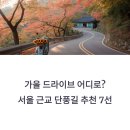 파주로 은행나무길 | 가을 드라이브 어디로? 서울 근교 단풍길 추천 7선