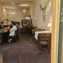 더데이디 카페 마곡나루 애견동반카페 카약토스트 후기 내돈내산