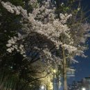 신림동명물순대 이미지