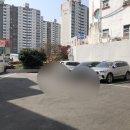 바른자세교정원