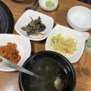 굴사랑 | 수원 장안문 맛집 통영굴사랑 내돈내산 후기