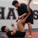 하바스MMA 압구정 이미지