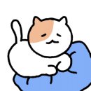 로즈드메이