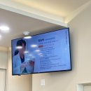 동편동물혈액검진센터 | 강일웅동물메디컬센터 울산동물병원 슬개골 검진 및 첫 방문 후기ㅣ울산 24시 동물병원 추천