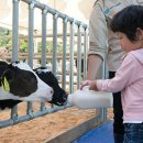 청명목장 이미지