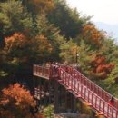 순창군 장류체험관 이미지