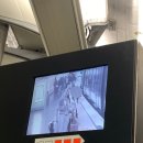 블루민박 이미지