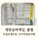 임산부일상 제왕절개 날짜택일 임산부출혈 트립트랩주문 마지막태교여행