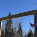 Beauty in Dog's | 페어뱅크스 여행 액티비티 개썰매 투어 Dog Sledding 솔직후기