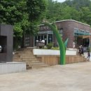 곤충박물관 Daum카페