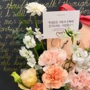 그레이스앤가든 네이버블로그