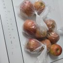 정인농장 이미지