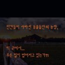 다움농장 이미지