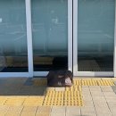 행정복지센터 앞 이미지