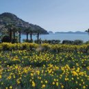 공곶이가는길 이미지