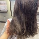 로이드밤헤어사상점