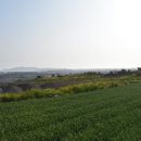 인정궁물떡볶이