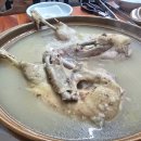 잉꼬 | 세종 전의면 맛집 잉꼬가든 방문 후기