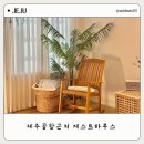 민트게스트하우스 | 제주공항 근처 가성비 좋은 숨게스트하우스 6인실 후기