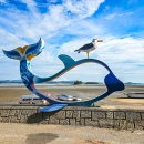 영해 태양광발전소 이미지