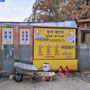 신선지낚시터 | [인천/강화] 2025년 강화도 신선지 빙어축제 빙어낚시체험 후기