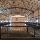 황산초지사계절바다낚시터 이미지