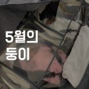 AP어린이집 | 2개월 육아템 추천, 스위바마목튜브, 2개월접종후기, 짱구베개, 쌍둥이 동시에 달래기, 뒤집기연습...
