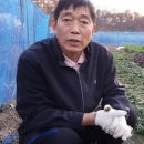 중년농부