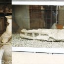 스테디(Steady) 이미지