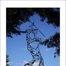 지팡이공원 이미지