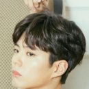 댄디헤어