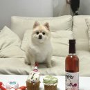 솜띵